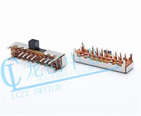 SK-Slide Switch