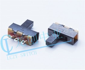 SS-Slide Switch