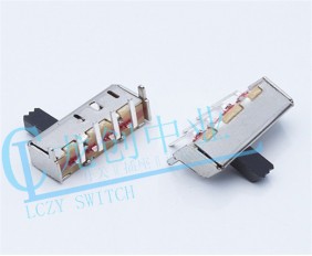SS-Slide Switch