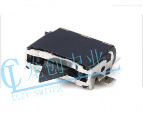 Detection switch