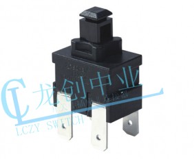 Appliance switch