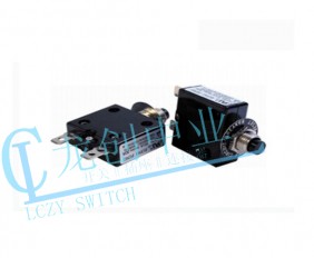 Appliance switch